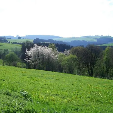 Holiday home Eifelsteig Hellenthal