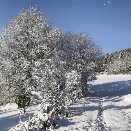 Eifelsteig Ferienhaus *