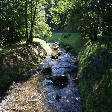 Eifelsteig Holiday home *
